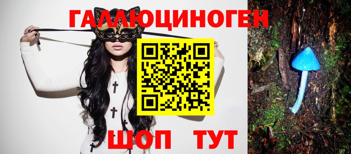 Псилоцибиновые грибы мухоморы Барнаул