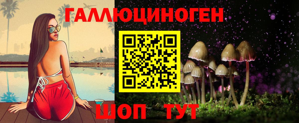 Барнаул  Псилоцибиновые грибы Psilocybe  Вход с VPN 
